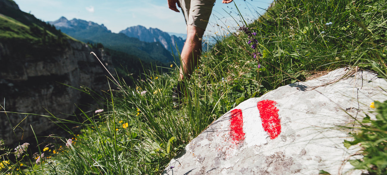 Fast Hiking